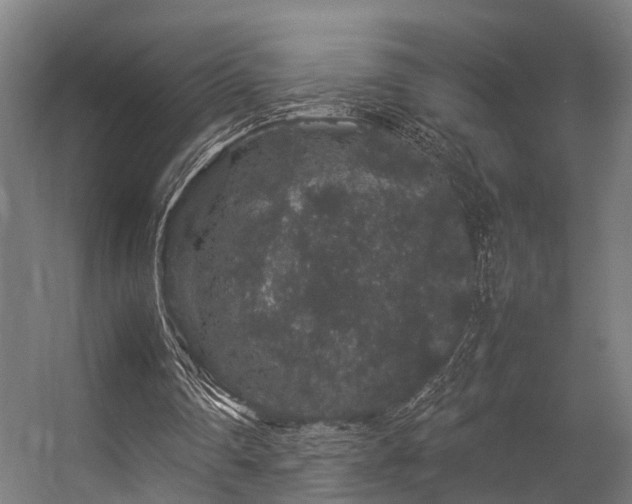 X0000057100290200509121015