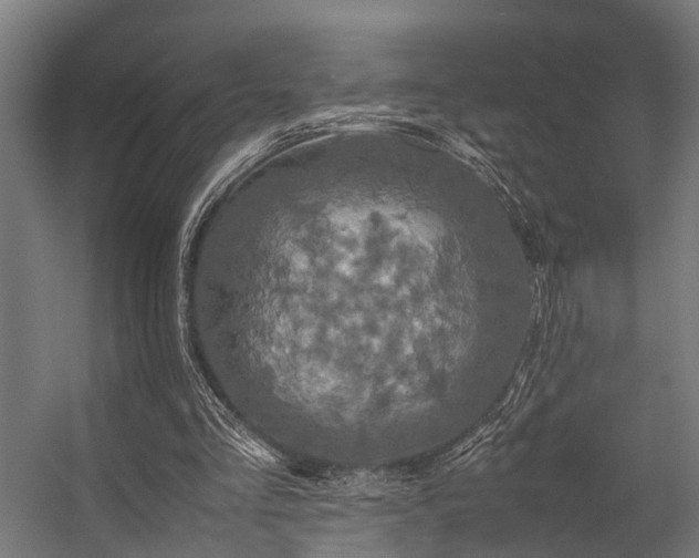 X0000057100293200509121015