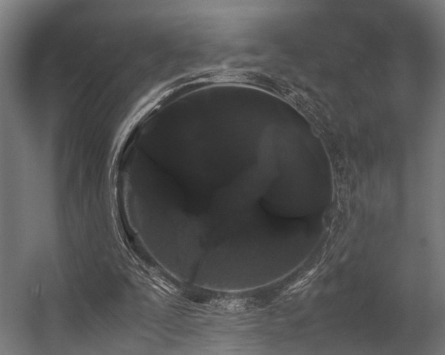 X0000057100295200509121015