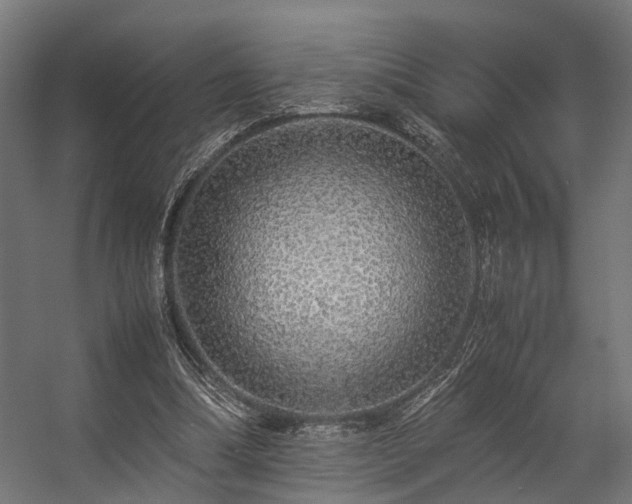 X0000057100298200509121015