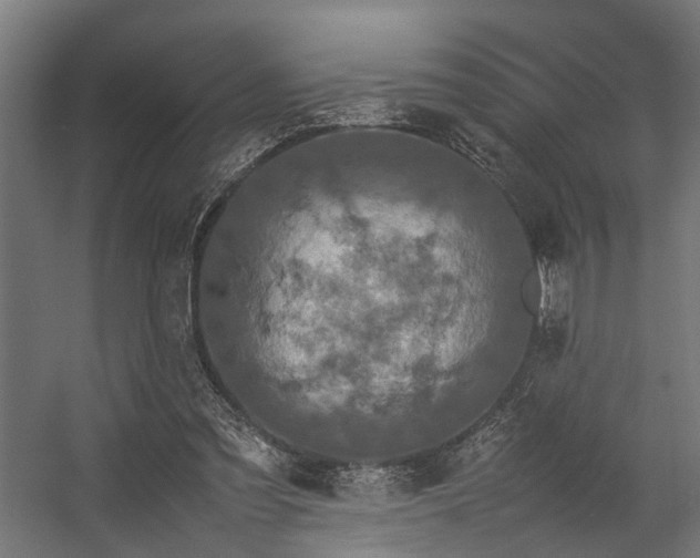 X0000057100301200509121015