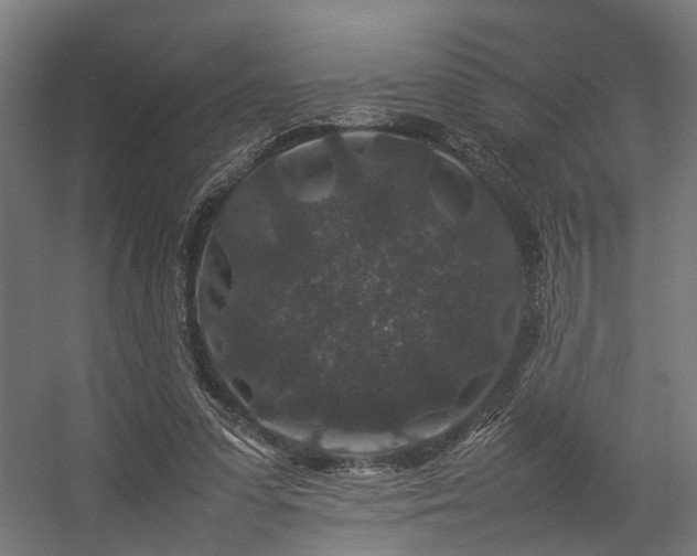 X0000057100303200509121015