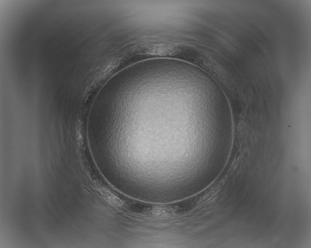 X0000057100305200509121015