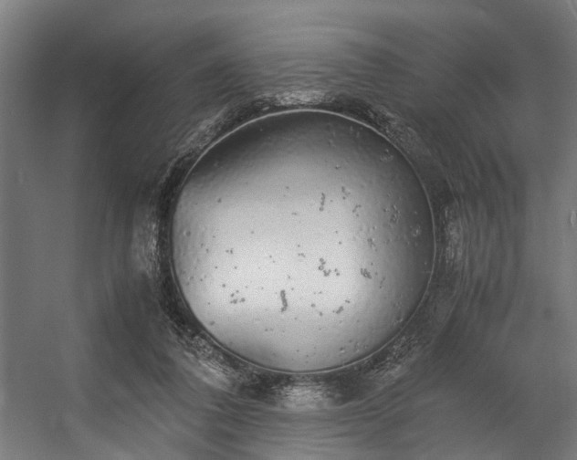 X0000057100308200509121015