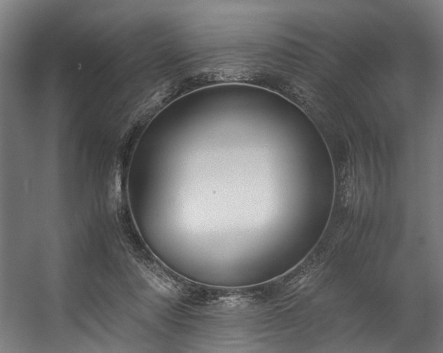 X0000057100310200509121015