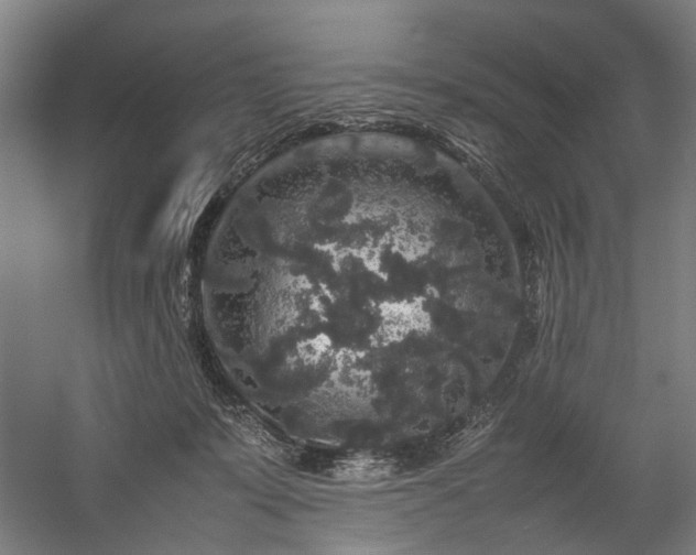 X0000057100319200509121015