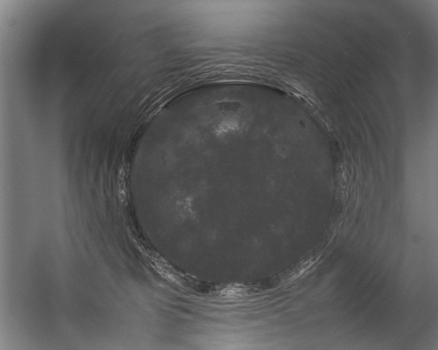 X0000057100325200509121015