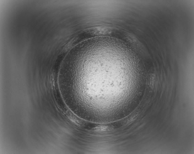 X0000057100326200509121015