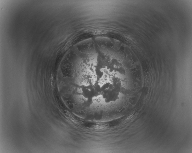 X0000057100327200509121015