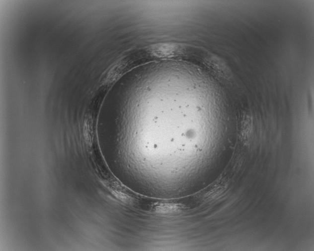 X0000057100332200509121014