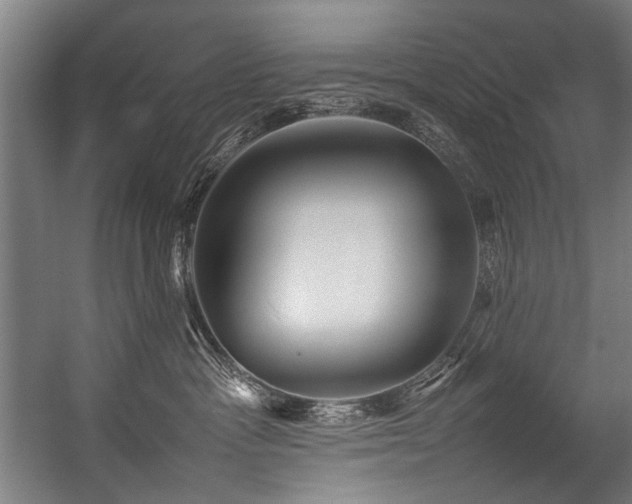 X0000057100333200509121014