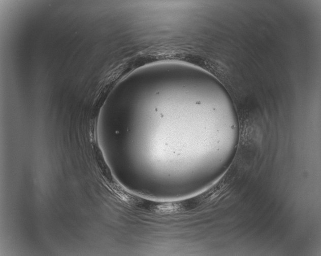 X0000057100335200509121014