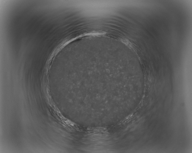 X0000057100337200509121014