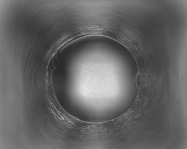 X0000057100338200509121014