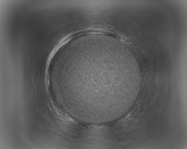 X0000057100343200509121014