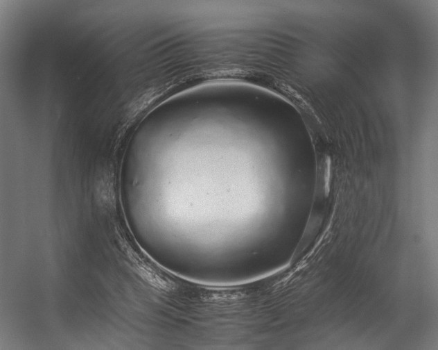 X0000057100345200509121014