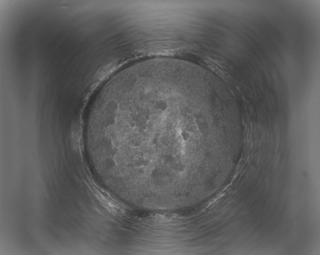 X0000057100346200509121014