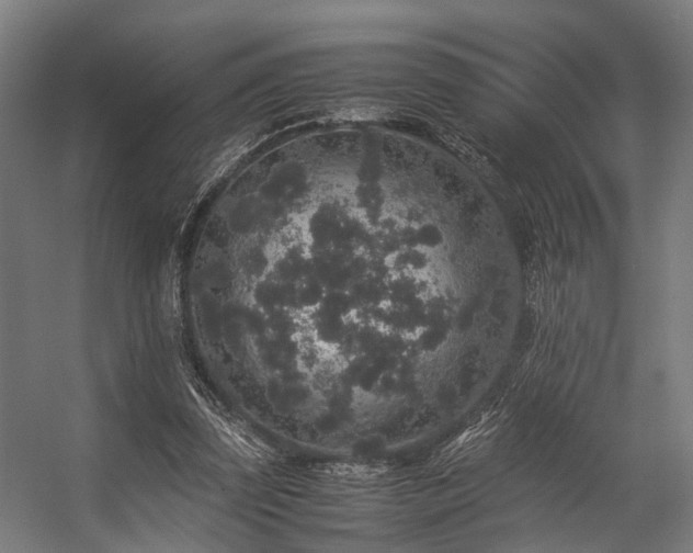 X0000057100347200509121014