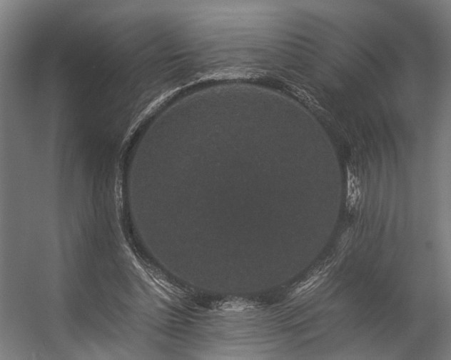 X0000057100348200509121014