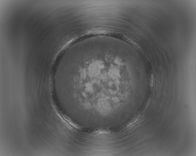 X0000057100352200509121014