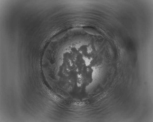 X0000057100353200509121014