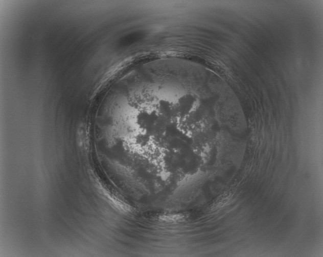 X0000057100357200509121014