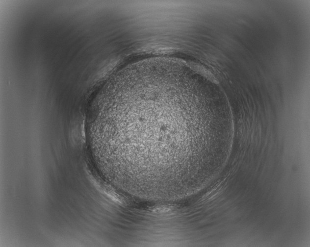 X0000057100358200509121014