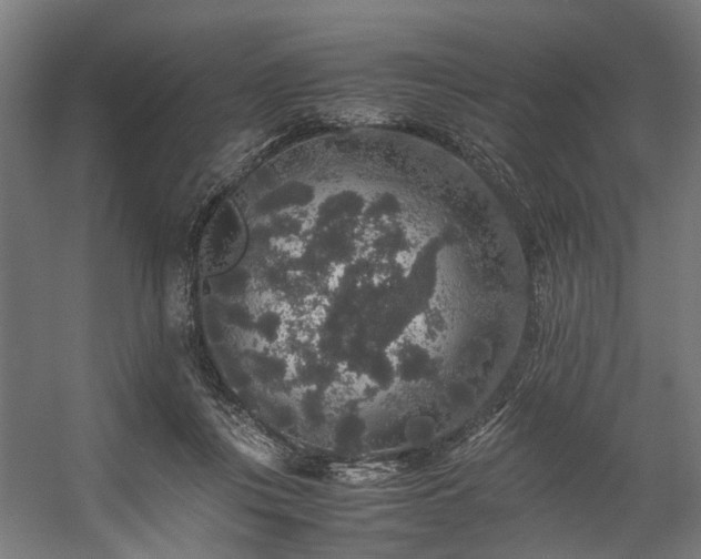 X0000057100359200509121014