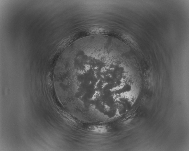 X0000057100361200509121014