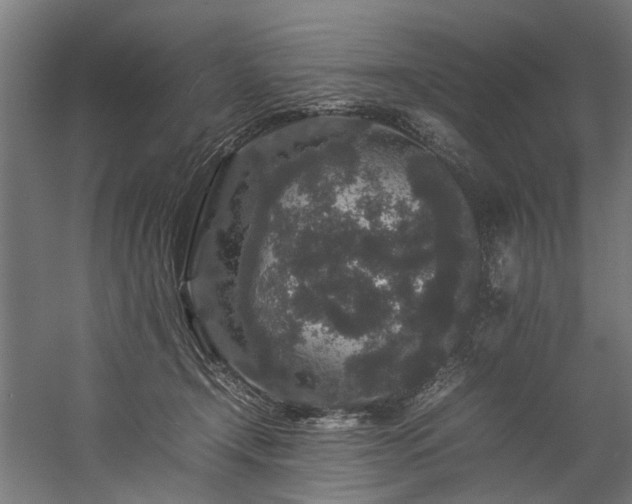 X0000057100366200509121014