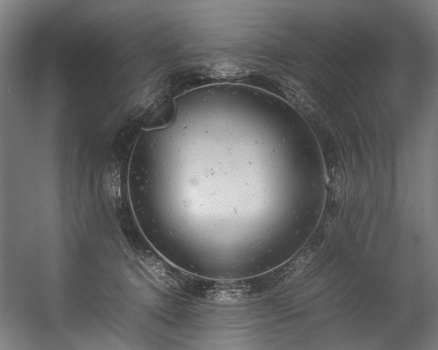 X0000057100368200509121014