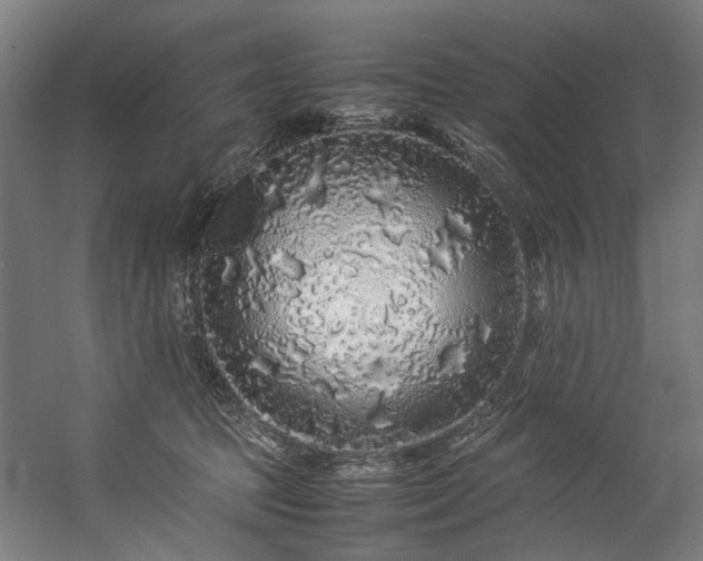 X0000057100369200509121014