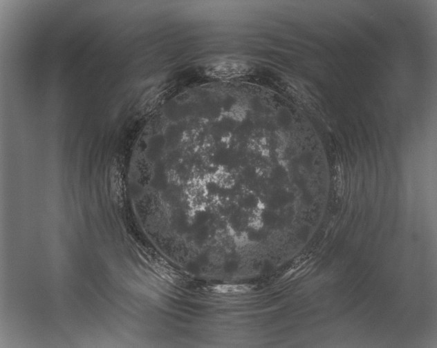 X0000057100371200509121014