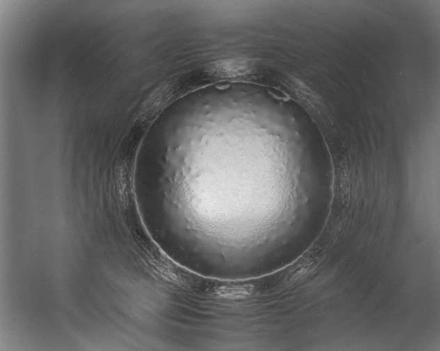 X0000057100373200509121014