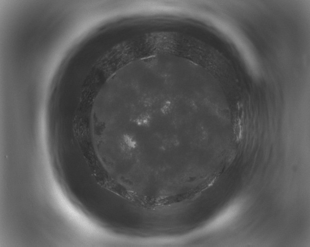 X0000057100383200509121014