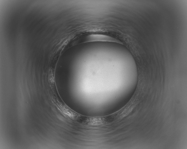 X0000057100384200509121014