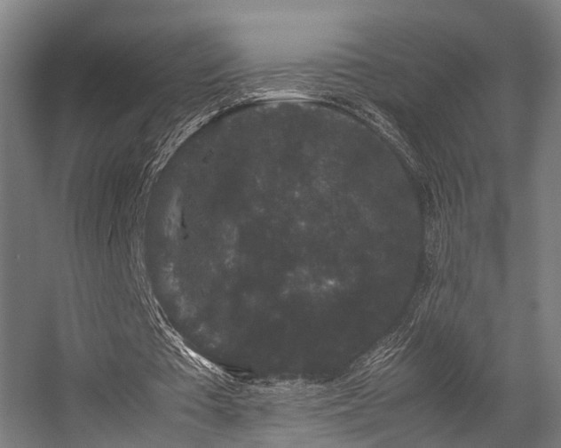 X0000057100385200509121014