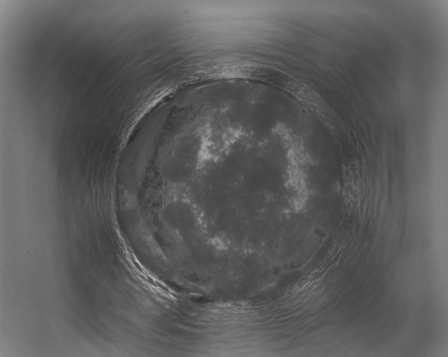 X0000057100386200509121014