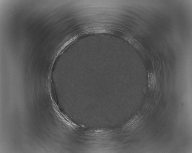 X0000057100390200509121013