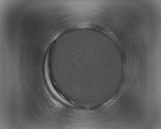 X0000057100393200509121013