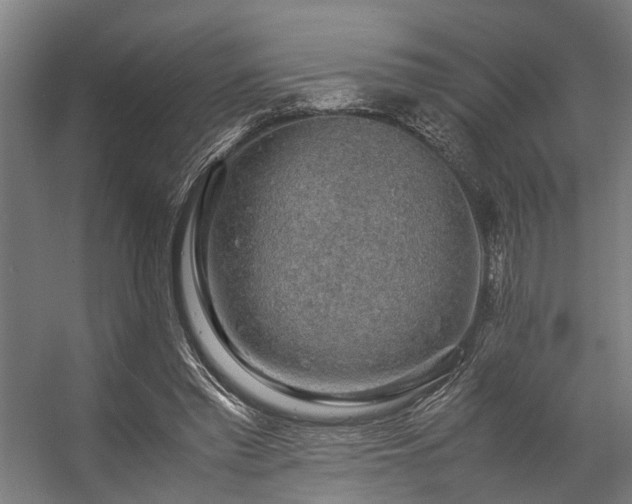 X0000057100397200509121013