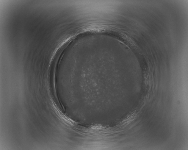 X0000057100399200509121013