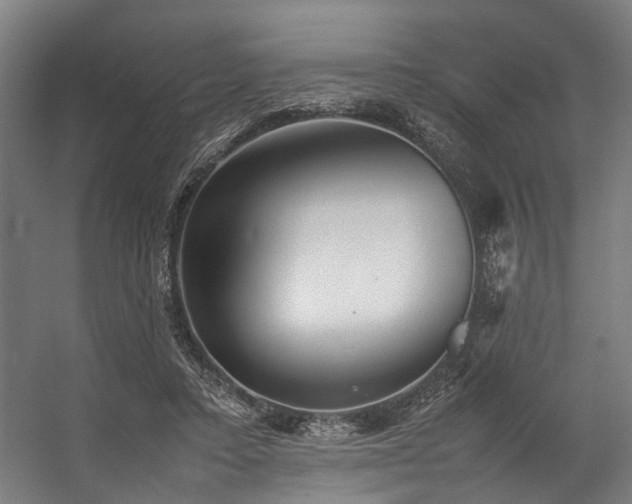 X0000057100403200509121013