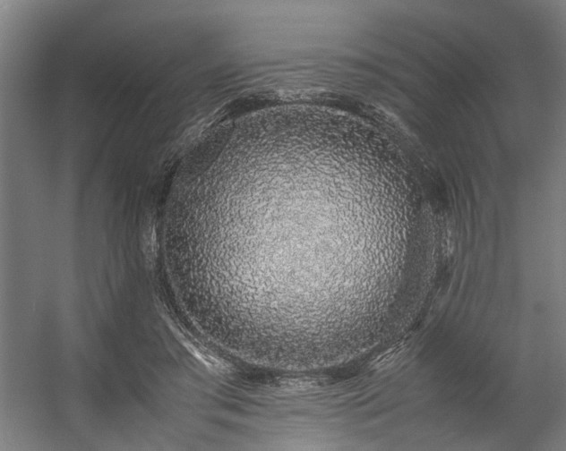 X0000057100405200509121013