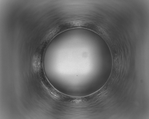 X0000057100406200509121013