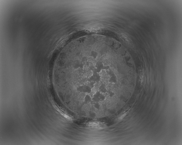 X0000057100408200509121013