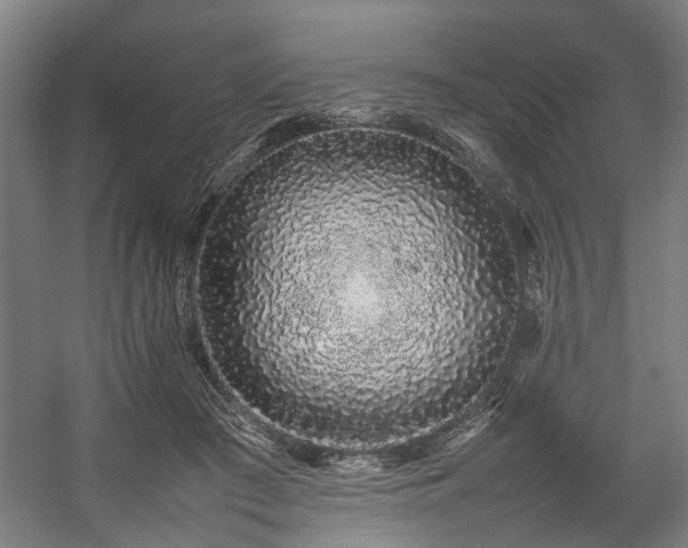 X0000057100409200509121013