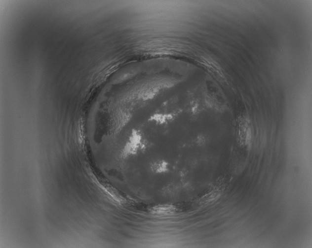 X0000057100410200509121013