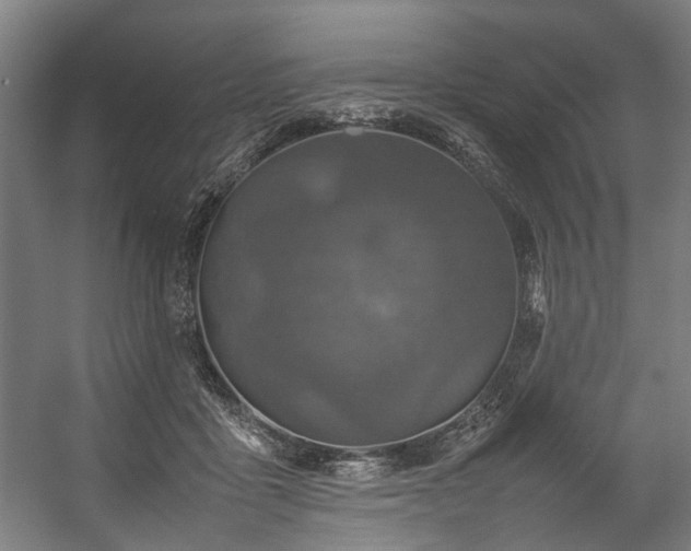 X0000057100411200509121013