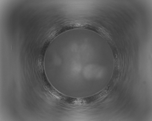 X0000057100415200509121013